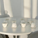 12-Piece Elegant Floral Cawa Cup Set for Serving Arabic Coffee