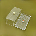 Elegant Glass Fruit Plate with Acrylic Cover