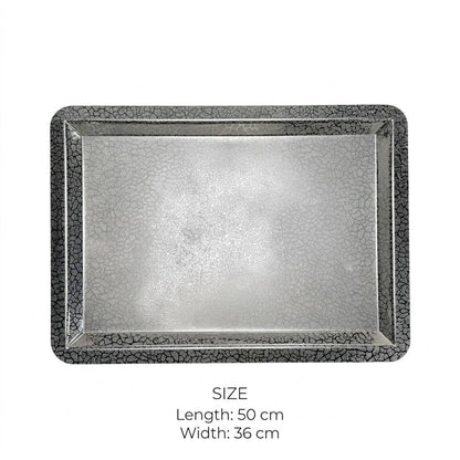 صينية مستطيلة (L) فضية-fp812513ls