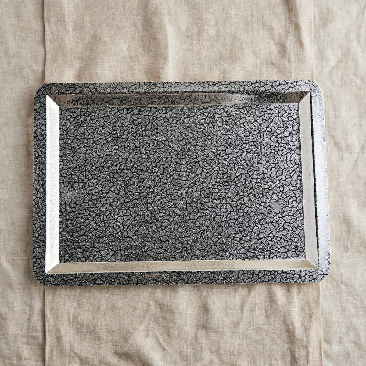 صينية مستطيلة (L) فضية-fp812513ls