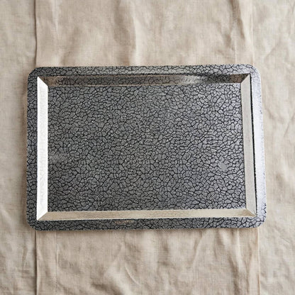 صينية مستطيلة (L) فضية-fp812513ls